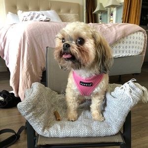 Meet your Posher, Avery